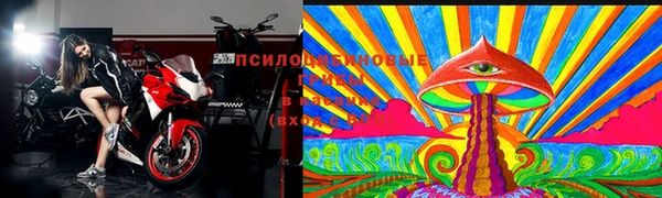 стаф Белокуриха