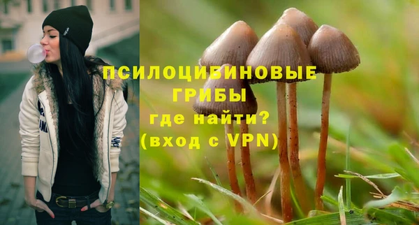 стаф Белокуриха