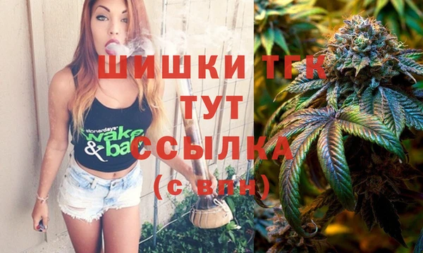 стаф Белокуриха